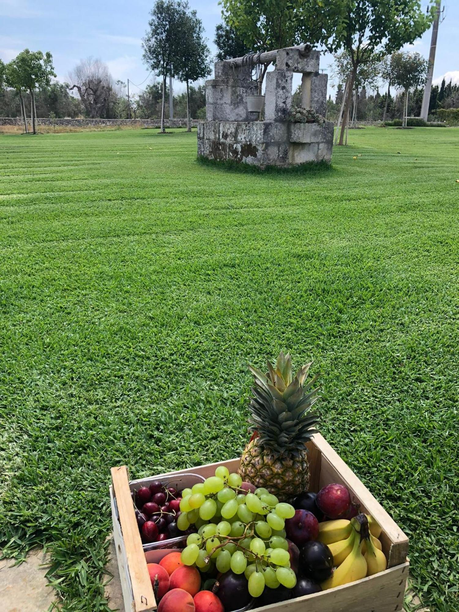 Tenuta Calitre メレンドゥーニョ エクステリア 写真